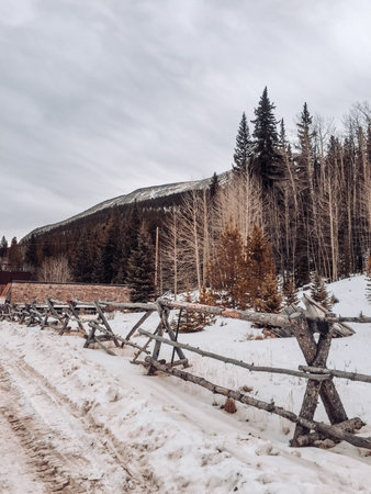 Colorado Rocky Mountainsの写真素材