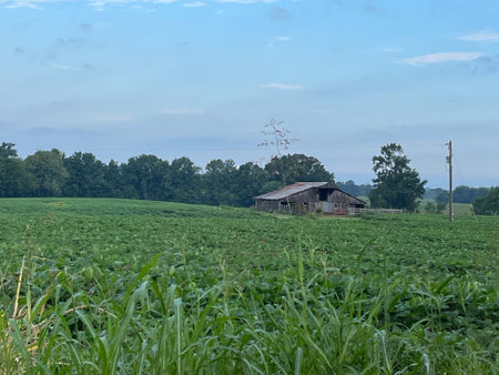 Tennessee Farm Lifeの写真素材