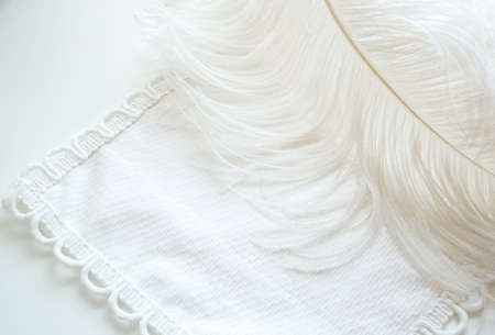 soft feather background on tableの写真素材