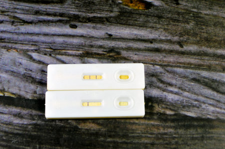 Rapid urine pregnancy test showing positive and negative results, detecting human chorionic gonadotropin HCG in female urine if pregnant in pregnancy test kit, a modern hormone pregnancy testの写真素材