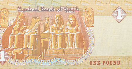 Large fragment of reverse side of 1 LE EGP one Egyptian pound money banknote bill features the main...
