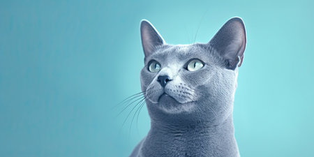 Portrait of a thoroughbred cat on a blue background. 3d renderingの素材