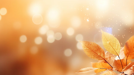 Autumn leaves on bokeh background. Fall season concept.の素材