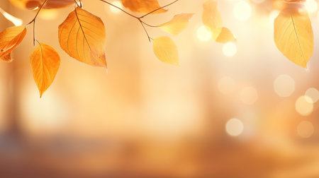 Autumn background with bokeh defocused lights and falling leavesの素材