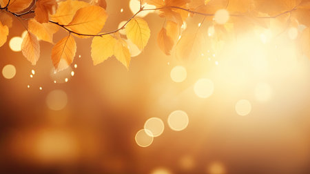 Autumn background with bokeh lights and yellow leaves. Copy spaceの素材