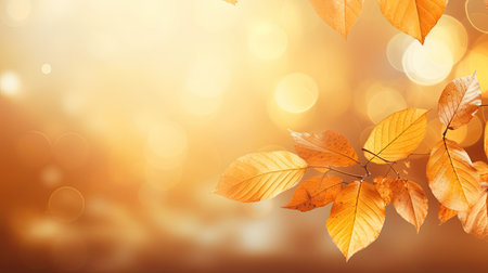 Autumn leaves on bokeh background with copy space for your textの素材