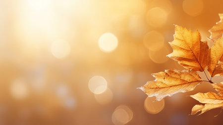 Autumn background with yellow leaves and bokeh lights. Copy spaceの素材