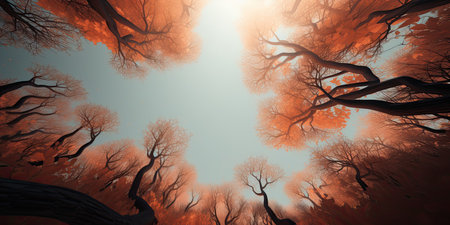 3D illustration of a fantasy forest with trees and a bright sunの素材
