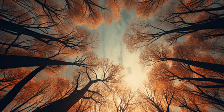 Trees in the forest at sunset. 3d render illustration.の素材