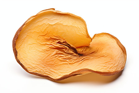 Dried mushrooms isolated on white background. Dried mushrooms close up.の素材