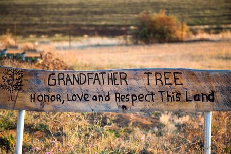 The backrest to a home made wooden bench that asks Grandfather Tree to honor, love, and respect this...