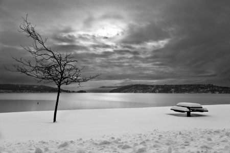A winter scene of a bench and a bare tree in snow with a lake, cloudy sky and distant mountains in the background done in black and white.の写真素材