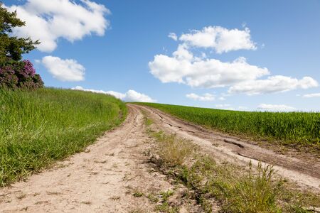 A dry cracked dirt road goes up a hill framed by thick green grass and blue sky with white fluffy clouds.の写真素材