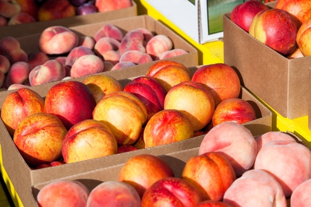 The afternoon sun lighting boxes of freshly picked nectarines and peaches at a roadside fruit stand in Washington.の写真素材