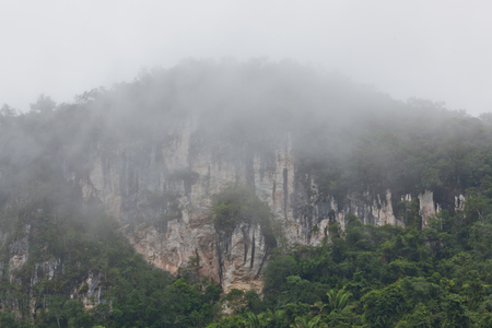 High limestone cliffs misty with morning fog are covered with tropical jungle vegetation in the Cayo District of Belize.の写真素材