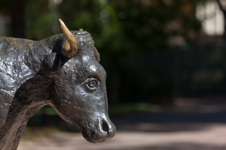 A stature of a bull head with horns outside in the afternoon sunshine with a soft blur background.の写真素材