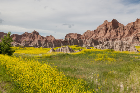Dramatic mountain formations carved out by erosion showing layers of rocks with spring wildflowers below in Badlands National Park, South Dakota.の写真素材