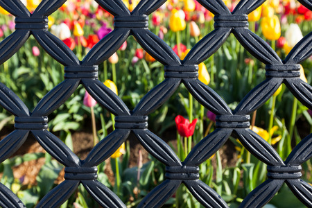 A background of a black metal pattern with soft blurred flowers behind.の写真素材