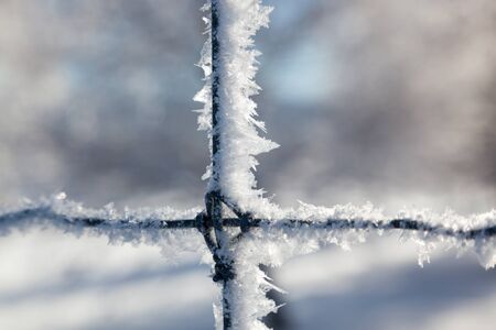 A close up of delicate ice crystals growing on a fence in winter with a blurred background.の写真素材
