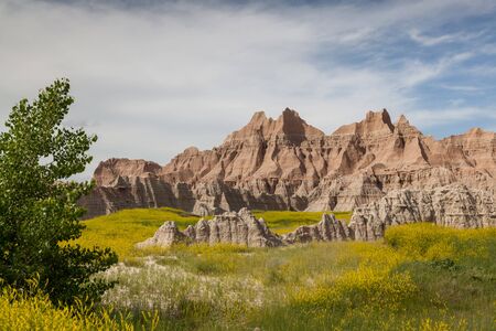 Dramatic mountain formations carved out by erosion showing layers of rocks with a tree and spring wildflowers below in Badlands National Park, South Dakota.の写真素材