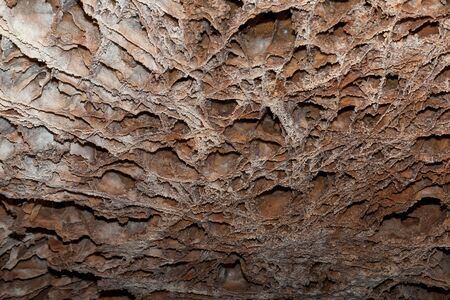 Detailed box work ceiling formations in brown and beige at Wind Cave National Park, South Dakota.の写真素材