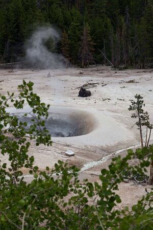 A large bison bull resting on the barren ground next to a large geothermal hole with rising steam in...