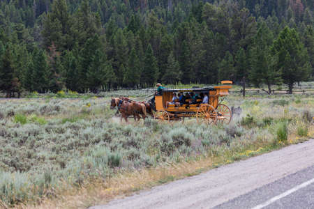 YELLOWSTONE NATIONAL PARK, USA - July 14 2014:  Tourists riding on a yellow stagecoach pulled by a team of horses at Yellowstone National Park, Wyoming.のeditorial素材