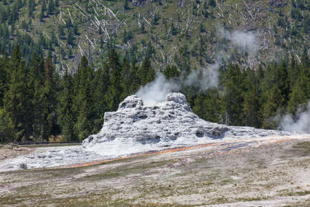 Steam coming from inside Castle Geyser on a sunny summer day in Yellowstone National Park with a background of green trees against a steep mountainside.の写真素材