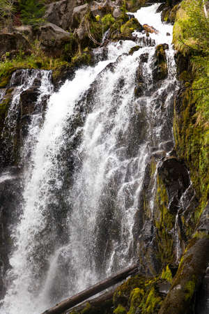The beautiful and wild water of National Creek Falls as it rushes over a rocky cliff in the pristine...