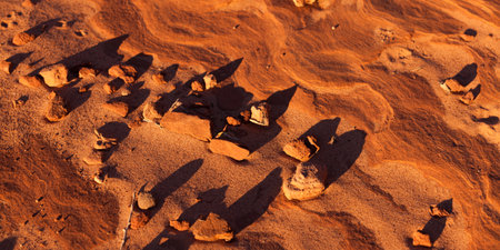 Late afternoon sunshine creating long shadows on small pebbles resting upon eroding sandstone rocks in the American Southwest.の写真素材