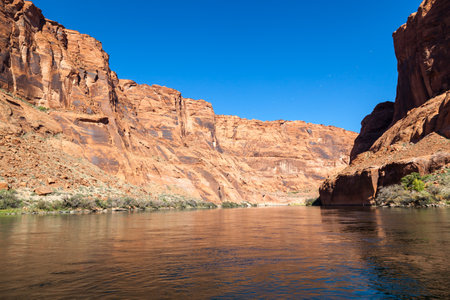 The inside of Glen Canyon as seen from the surface of the Colorado River with brightly lit sandstone walls and a clear blue sky.の写真素材