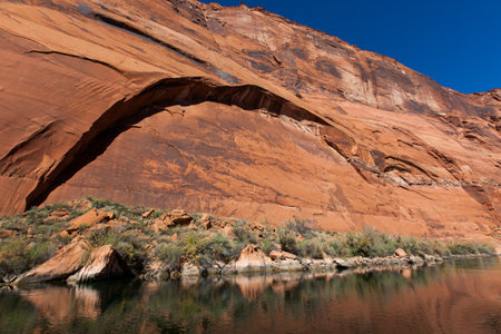 Eroding sandstone canyon walls creating a large arch pattern above a debris filled shoreline with hearty brush next to the Colorado River as it flows through Glen Canyon in Arizona.の写真素材