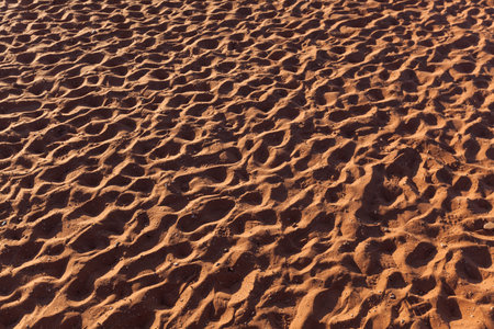The sandy shore of Lee's Ferry landing in Glen Canyon with hundreds of footprints left by tourist who have rafted down the Colorado River from Glen Canyon Dam.の写真素材