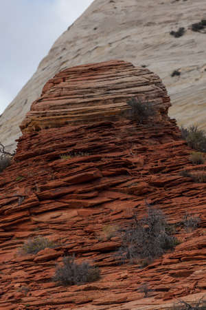 Ancient sediment turned to rock is slowly eroding to reveal interesting features and colors in Zion National Park located in Utah.の写真素材