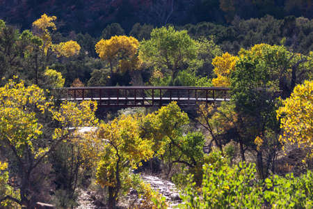 A walk bridge spans the Virgin River with fall colors in the deciduous trees in Zion National Park, Utah.の写真素材