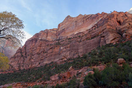 Layers of rocks and cliffs with desert flora as seen from the valley floor near the Virgin River in Zion National Park, Utah.の写真素材