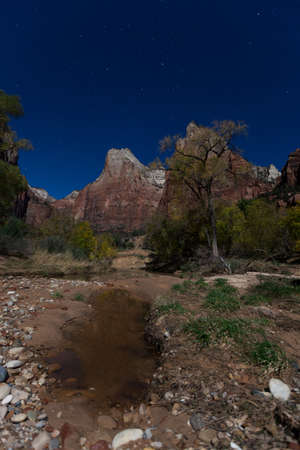Steep mountains rising up from the valley floor and into the starry sky with a small pool of water on a bright moonlit night in Zion National Park, Utah.の写真素材