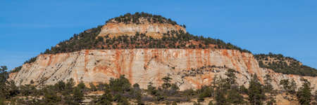 A large mountain with iron streaked sandstone cliffs that is dotted with trees and brush and a blue sky background in Zion National Park, Utah.の写真素材
