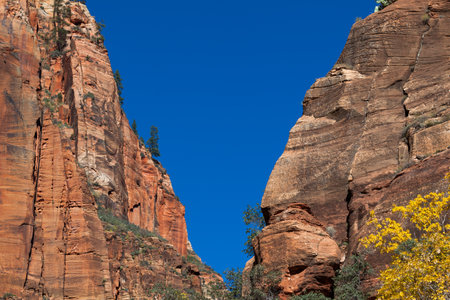 Dramatic orange and brown cliffs come together to form a V shape of blue sky at Zion National Park in Fall.の写真素材