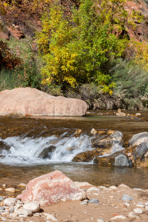 A small silky waterfall in a creek with large rocks and a hillside showing fall colors in Zion National Park, Utah.の写真素材
