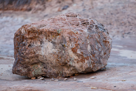 A large boulder that is being eroded by time and weather sitting on sandstone flats in Zion National Park, Utah.の写真素材