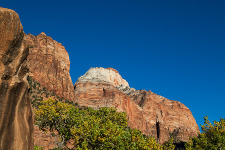 Dramatic mountain formations rise up from the green and yellow leaves of fall trees and into the clear blue sky in Zion National Park, Utah.の写真素材