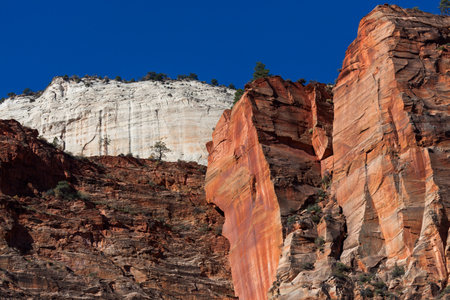 Layers of steep rugged cliffs in bright orange, brown and vibrant white against a clear blue sky in the morning sunshine at Zion National Park, Utah.の写真素材