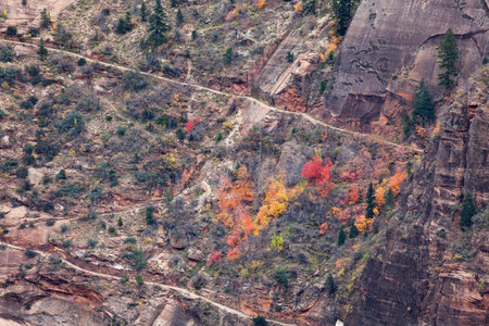A section of Weeping Rock Trail as it cuts through steep canyon walls in a z pattern with colorful fall trees at Zion National Park, Utah.の写真素材