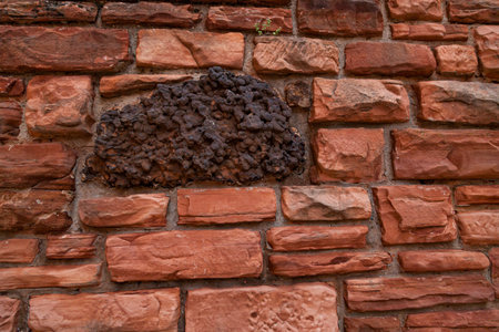 A unique rusty iron rock surrounded by carved sandstone bricks in a wall at Zion National Park, Utah.の写真素材