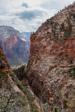 Looking up a canyon to distant sandstone mountains showing erosion with stormy clouds at Zion National Park, Utah.の写真素材