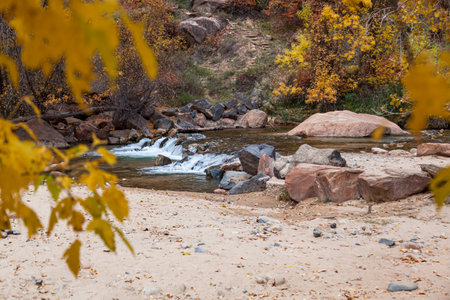 A small waterfall in the Virgin River with autumn trees and steep cliffs in the background at Zion National Park, Utah.の写真素材