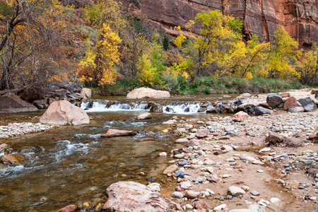 A small waterfall in the Virgin River with autumn trees and steep cliffs in the background at Zion National Park, Utah.の写真素材