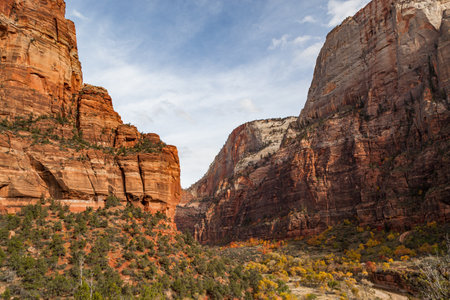 Zion Canyon at the base of Angel's Landing in the fall with changing trees and sunshine at Zion National Park, Utah.の写真素材