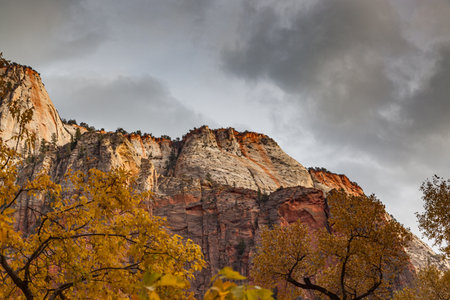 Afternoon light hitting the tops of tall mountains in Zion National Park with fall trees and a cloudy sky.の写真素材